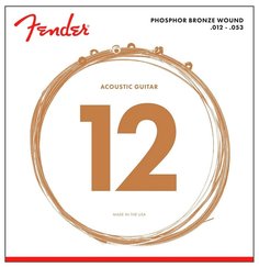 STRINGS NEW ACOUSTIC 60L PHOSPHOR BRONZE BALL 12-53 Fender