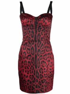 Dolce & Gabbana платье мини с леопардовым принтом