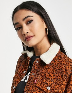 Джинсовая куртка с воротником из шерпы и леопардовым принтом Levis-Коричневый цвет