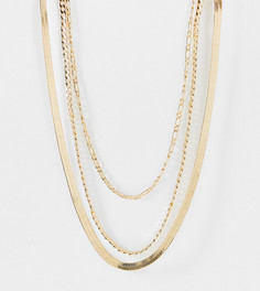 Золотистое ярусное ожерелье в винтажном стиле ASOS DESIGN Curve-Золотистый