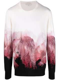 Alexander McQueen джемпер с принтом
