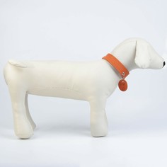 Ошейник кожаный однослойный, 30-53 см, апельсин, с кожаным подвесом Пушистое счастье