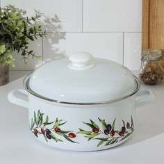 Кастрюля доляна olives, 4,5 л