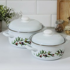 Набор кастрюль доляна olives, 2 предмета: 2 л, 3 л