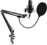 Студийный микрофон Ritmix RDM-169 Black