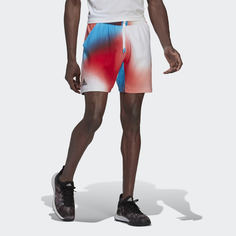 Шорты для тенниса Melbourne Ergo Printed adidas Performance
