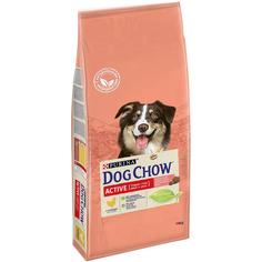 Сухой корм Dog Chow для взрослых активных собак, с курицей, 14кг