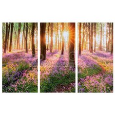 Картина модульная, 99х65 см, 3 модуля, D-722