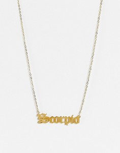 Золотистое ожерелье из нержавеющей стали с подвеской со знаком зодиака Скорпион DesignB London-Золотистый