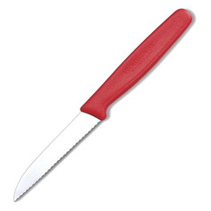 Нож кухонный Victorinox Standart, для чистки овощей и фруктов, 80мм, заточка серрейтор, стальной, красный [5.0431]