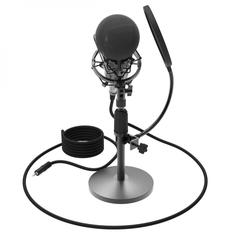 Микрофон Ritmix RDM-175 (черный)