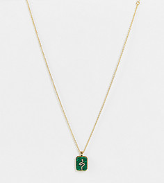 Ожерелье с позолотой 14 карат и подвеской зеленого цвета со змеей ASOS DESIGN-Золотистый