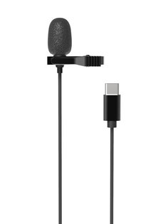 Микрофон Ritmix RCM-210