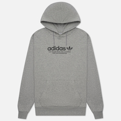 Мужская толстовка adidas Skateboarding 4.0 Logo Hoodie, цвет серый, размер XXL