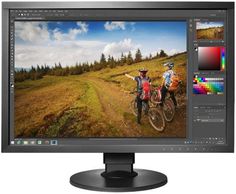 Монитор 24&quot; Eizo CS2420