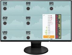 Монитор 24&quot; Eizo EV2451