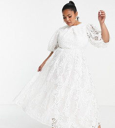 Свадебное платье миди из прорезного кружева с вышивкой ASOS EDITION Curve Avery-Белый