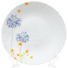 Тарелка обеденная, стеклокерамика, 24 см, круглая, Прованс, Daniks, LHP 95