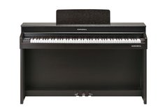 Andante CUP320 SR Kurzweil