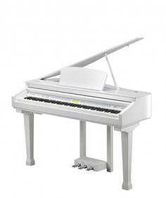KAG100 WHP Kurzweil