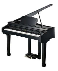 KAG100 BP Kurzweil