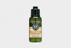 Шампунь для волос L'Occitane