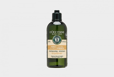Шампунь для волос L'Occitane