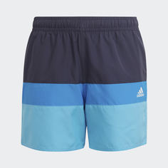 Шорты для плавания Colorblock adidas Performance