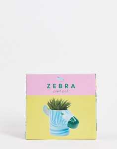 Горшок для цветов в виде зебры Fizz Creations-Разноцветный