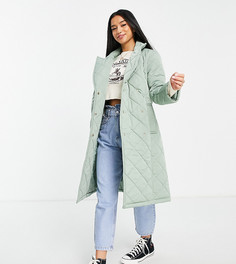 Мятное стеганое пальто с поясом Miss Selfridge Petite-Зеленый цвет