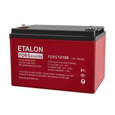 Аккумуляторная батарея ETALON FORS