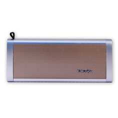 Bluetooth-колонка Belsis