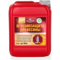 Огнебиозащитная пропитка OLIMP ОЛИМП