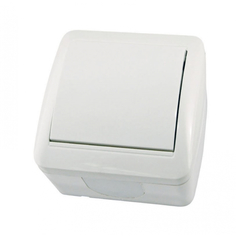 Одноклавишный выключатель TDM