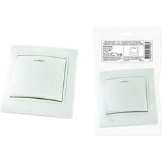 Одноклавишный выключатель TDM