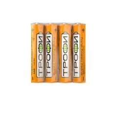 Элемент питания ТРОФИ