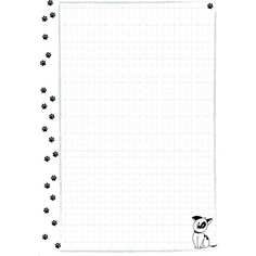 Сменный блок для тетради на кольцах Bruno Visconti