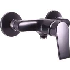 Смеситель для душа RavSlezak