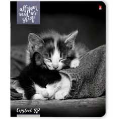 Тетрадь Bruno Visconti