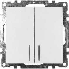 Двухклавишный выключатель STEKKER