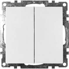 Двухклавишный выключатель STEKKER