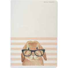 Тетрадь Bruno Visconti