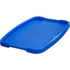 Поднос ПАО «Завод «Буревестник» Тара.ру