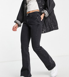 Черные расклешенные джинсы с заниженной талией New Look Petite-Черный