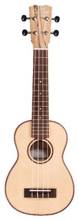 24S Spruce Cordoba