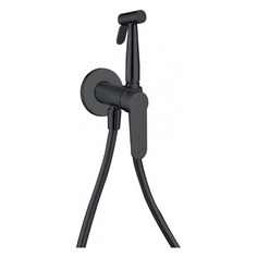 Смеситель для биде AQUANET Passion AF300-52B, черный [00243316]