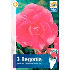 Луковицы Бегония 7 ЦВЕТОВ