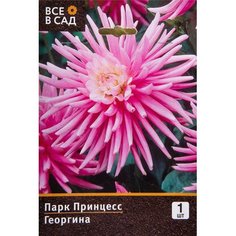 Клубень Георгины Парк Принцесс 7 ЦВЕТОВ