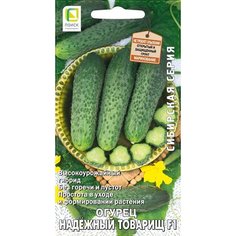 Семена Огурца Надежный товарищ F1 12 шт Без бренда