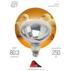 Лампы для растений лампа инфракрасная для растений и животных ЭРА 200-250Вт E27 рефлектор ERA